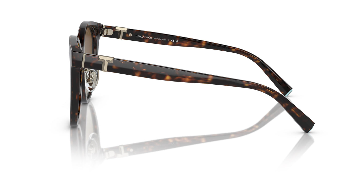 Gafas de Sol Tiffany TF4209D 8015T5 54 19