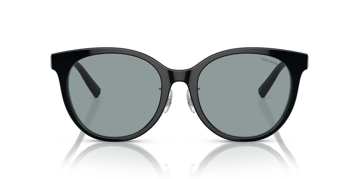 Gafas de Sol Tiffany TF4209D 8055/1 54 19