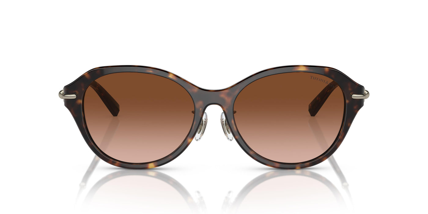 Gafas de Sol Tiffany TF4210D 80153B 54 17