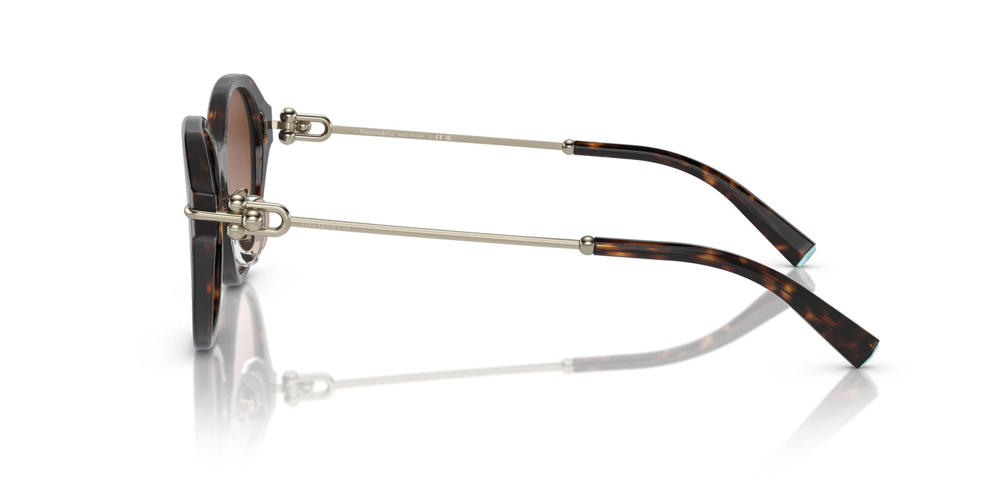 Gafas de Sol Tiffany TF4210D 80153B 54 17