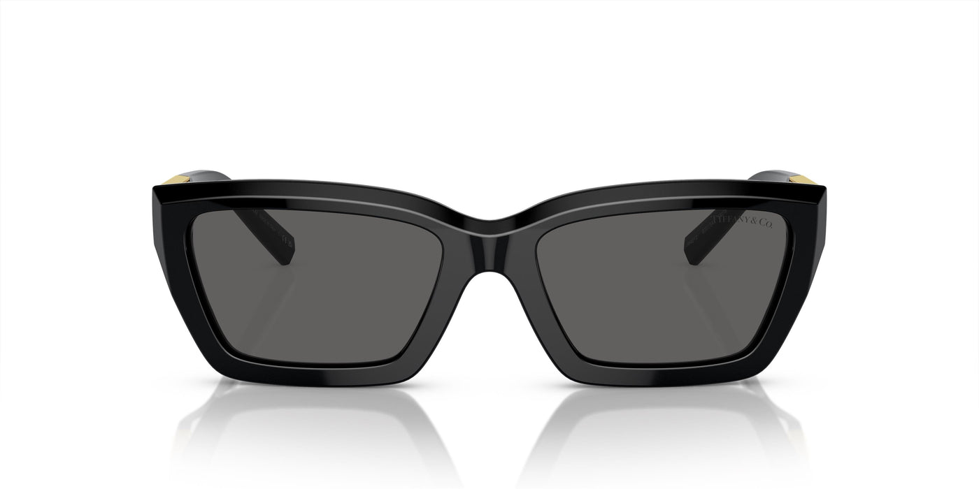 Gafas de Sol Tiffany TF4213 8001S4 54 18