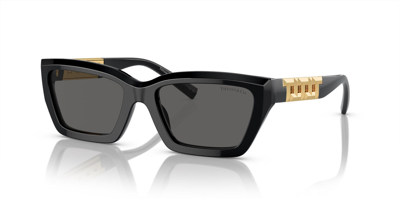 Gafas de Sol Tiffany TF4213 8001S4 54 18