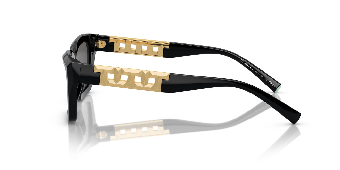 Gafas de Sol Tiffany TF4213 8001S4 54 18