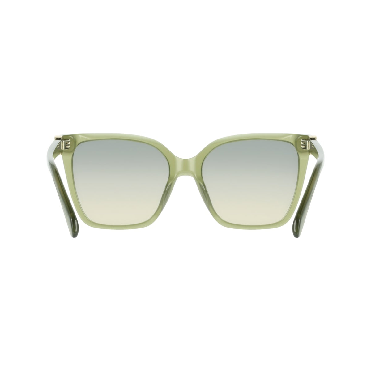 Sunglasses Ferragamo SF2121S 333 57 18