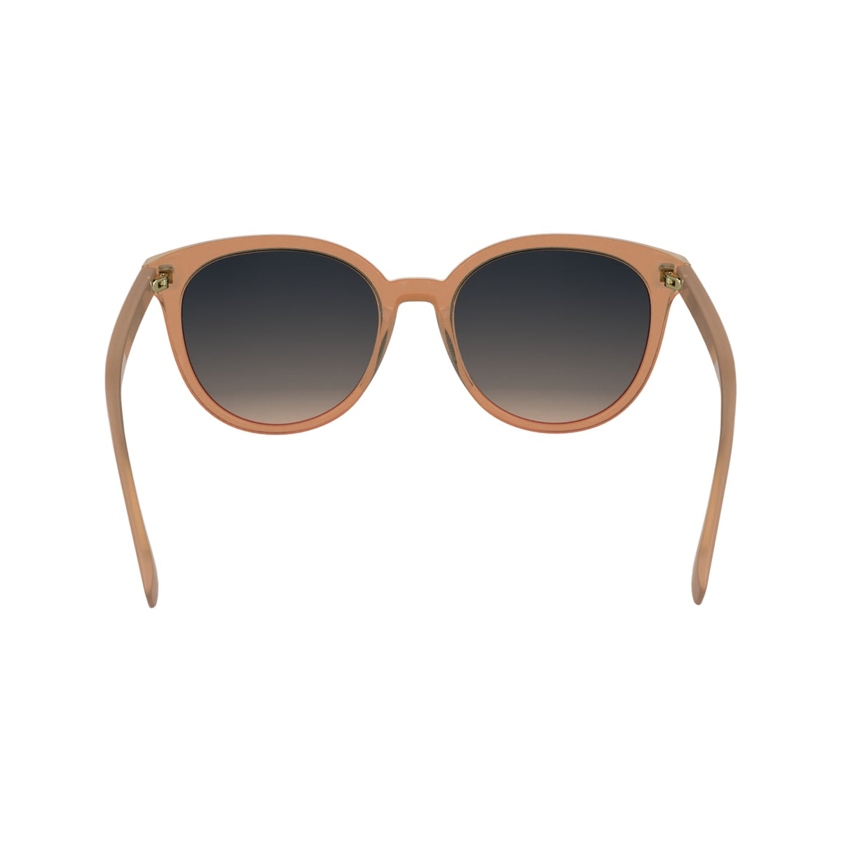 Gafas de Sol Longchamp LO752S 842 55 19