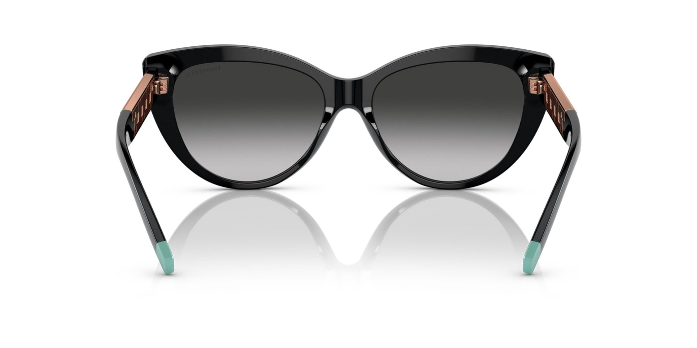 Gafas de Sol Tiffany TF4196 80013C 56 16