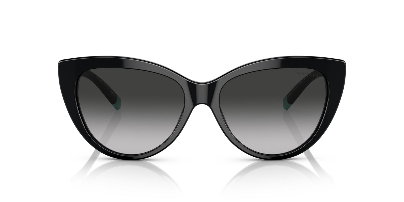 Gafas de Sol Tiffany TF4196 80013C 56 16