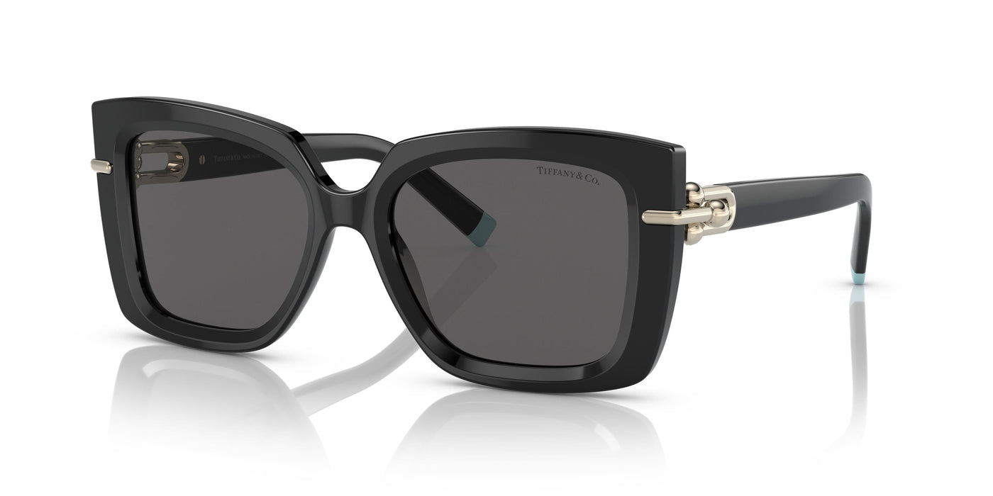 Gafas de Sol Tiffany TF4199 8001S4 53 18