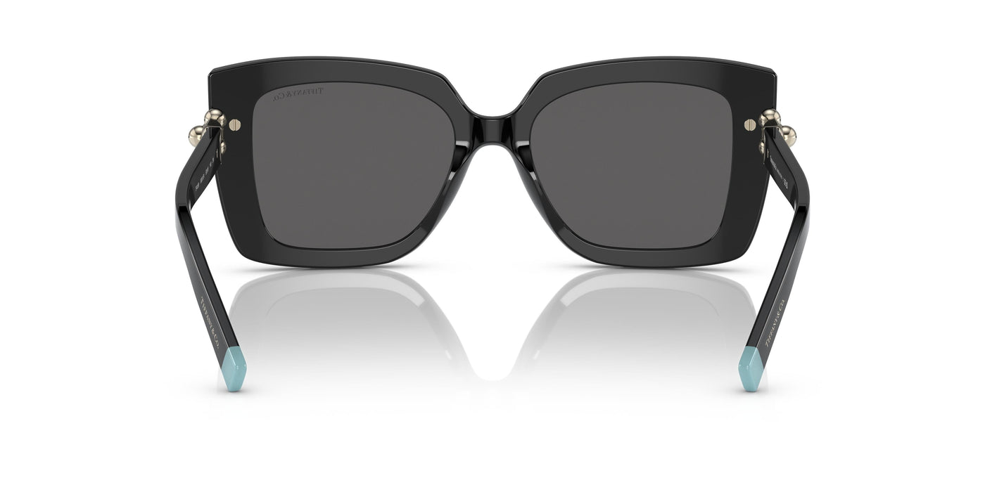 Gafas de Sol Tiffany TF4199 8001S4 53 18