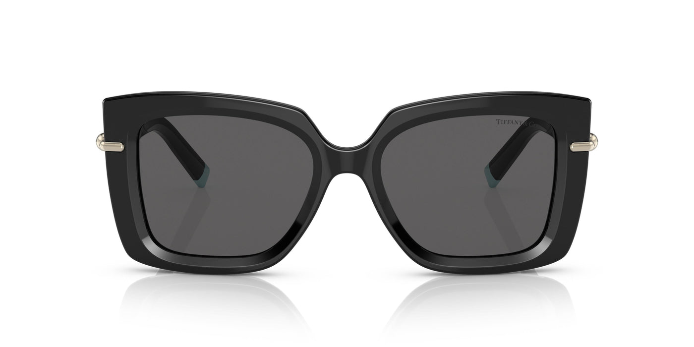 Gafas de Sol Tiffany TF4199 8001S4 53 18