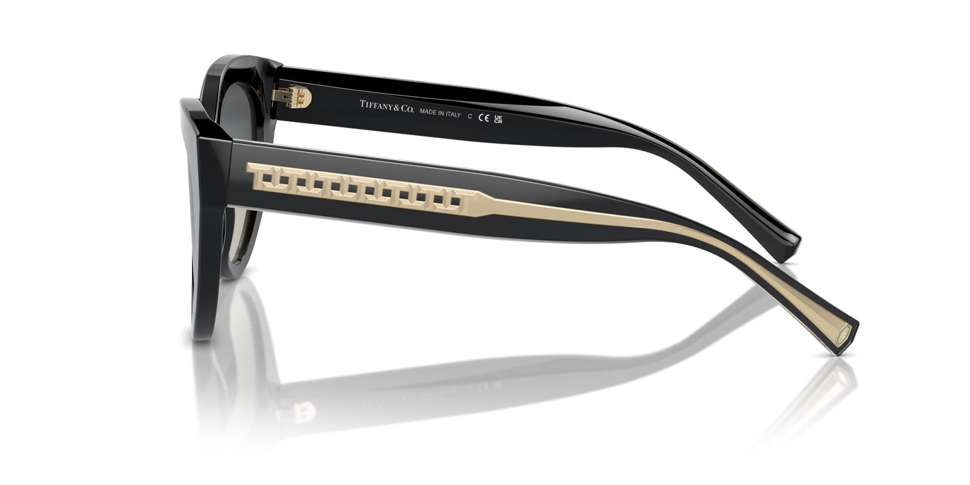 Gafas de Sol Tiffany TF4220 800171 54 18