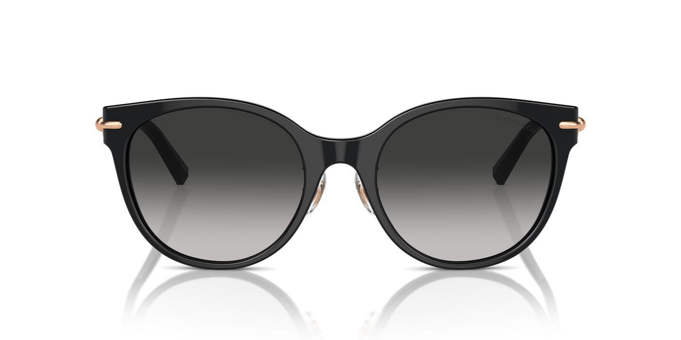 Gafas de Sol Tiffany TF4223D 80013C 54 20