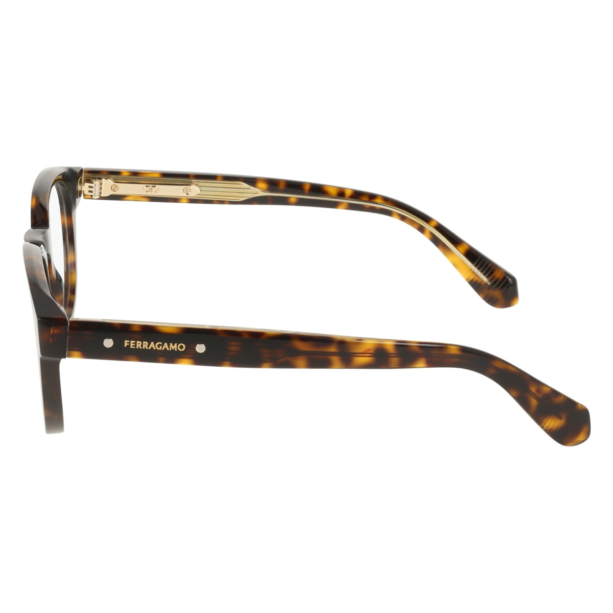 Gafas Graduadas Ferragamo SF3083 242 50 23