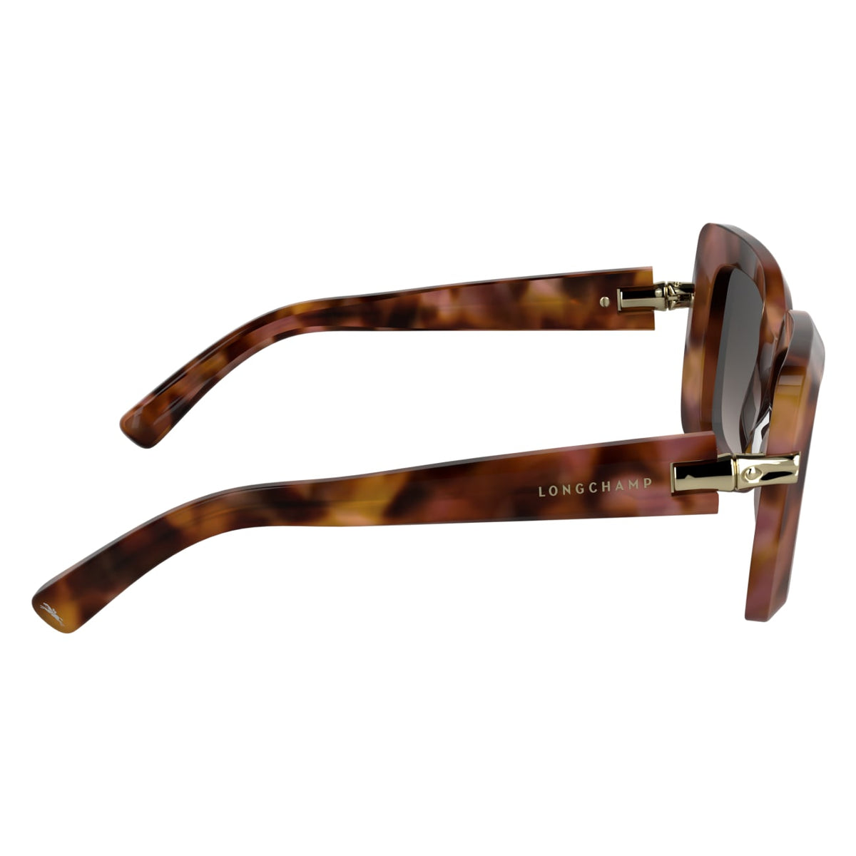 Gafas de Sol Longchamp LO776S 690 50 22