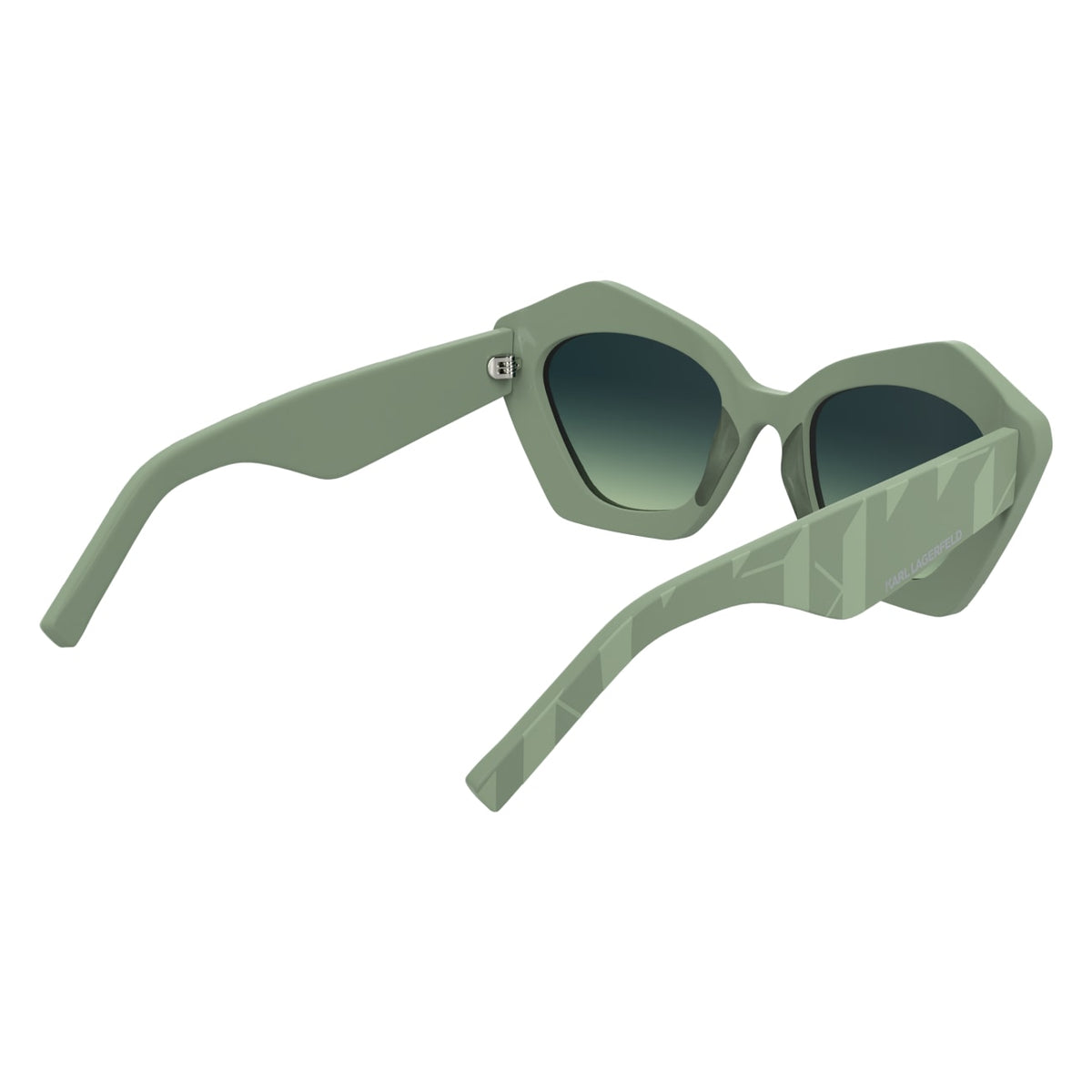 Gafas de Sol Karl Lagerfeld KL6199S 316 53 21