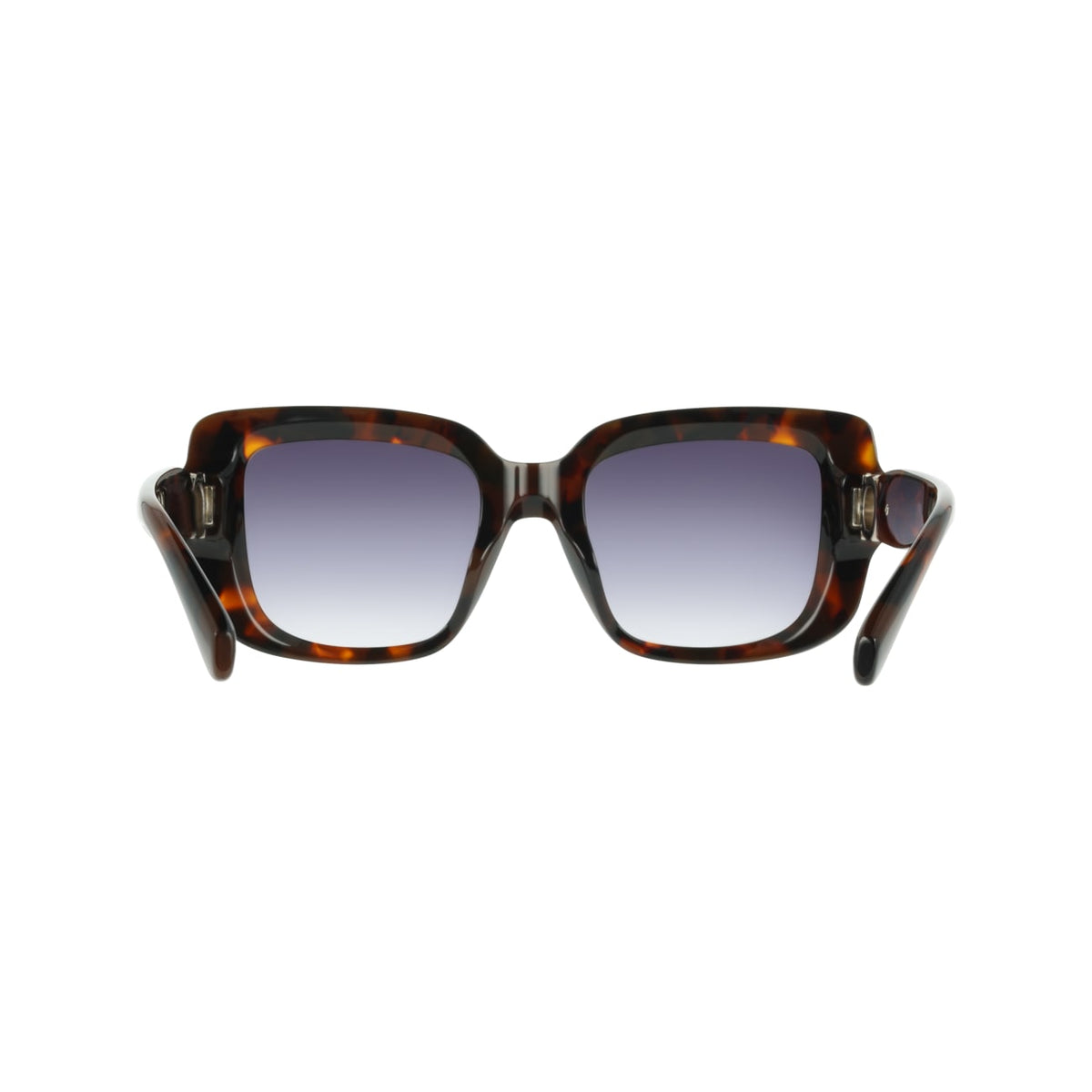 Sunglasses Ferragamo SF2117S 240 52 21