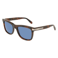 Sunglasses Ferragamo SF2088S 240 55 20