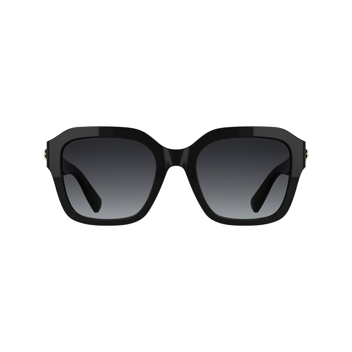 Sunglasses Longchamp LO816S 001 53 20