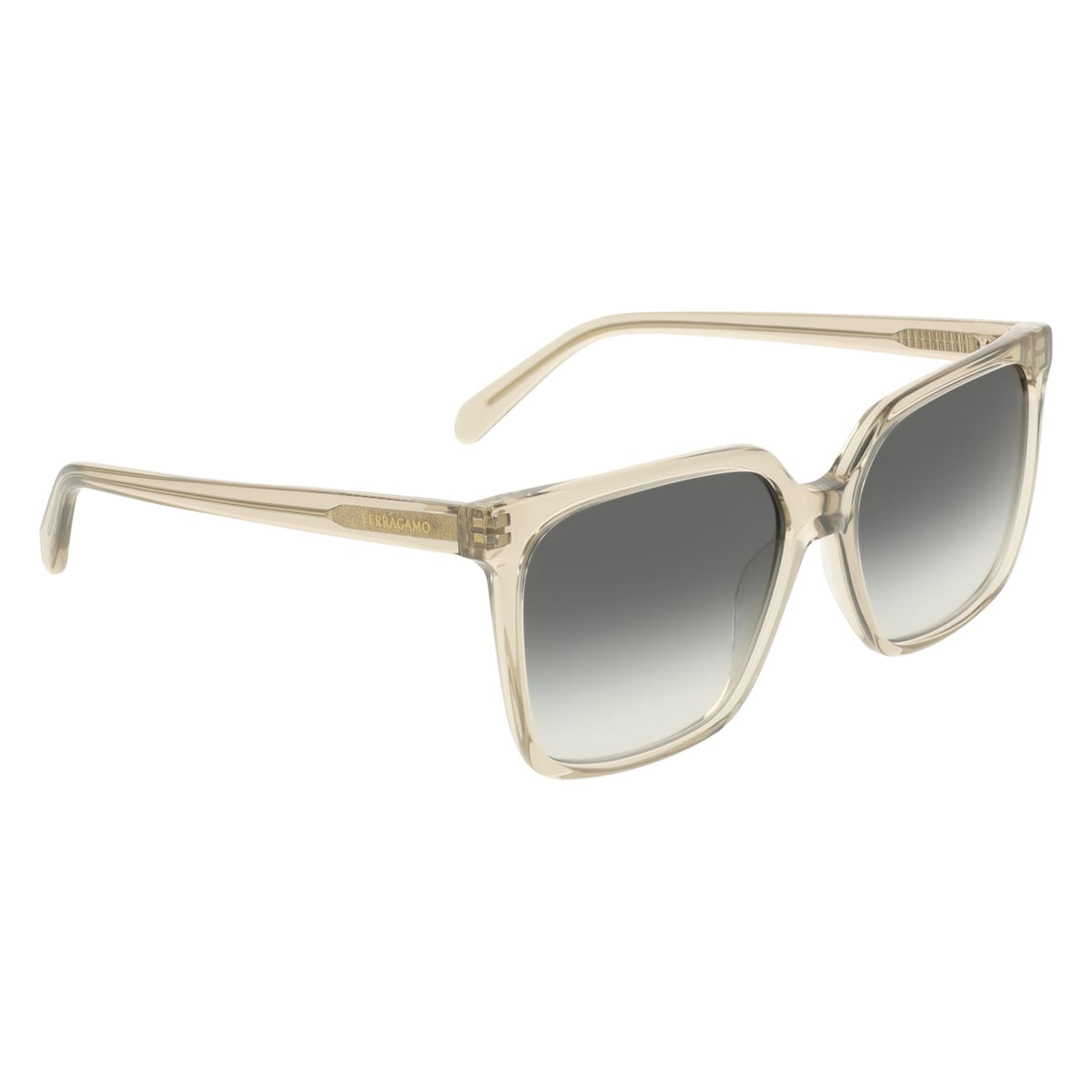 Gafas de Sol Ferragamo SF2102S 313 57 16