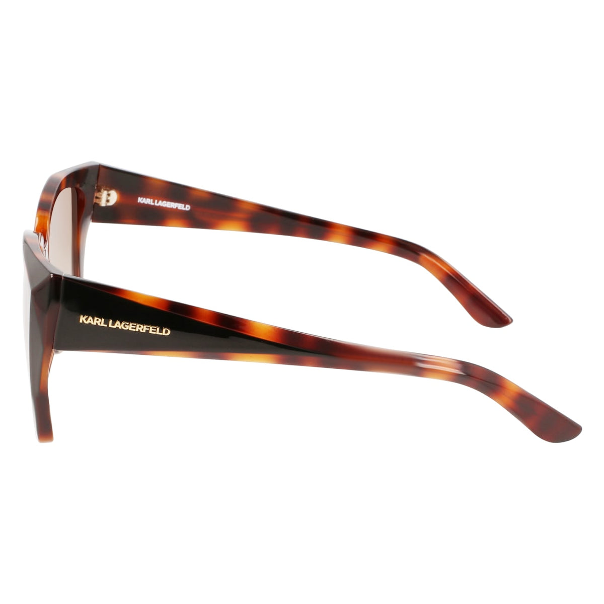 Gafas de Sol Karl Lagerfeld KL6072S 240 55 16