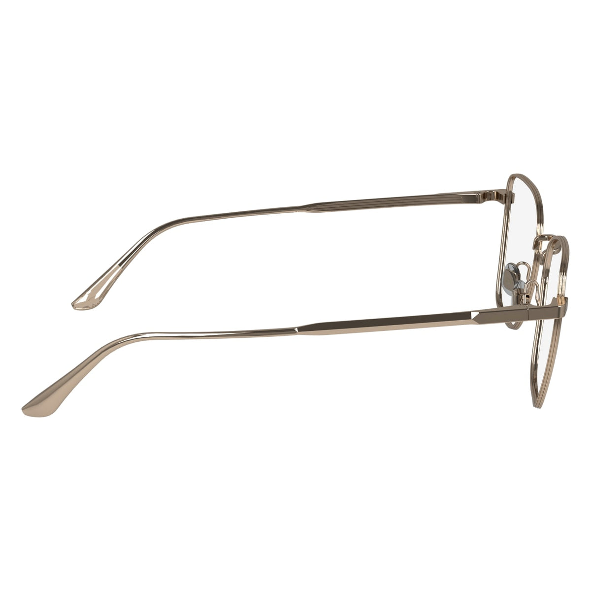 Prescription Glasses Calvin Klein (Ck) CK24102N 770 52 18