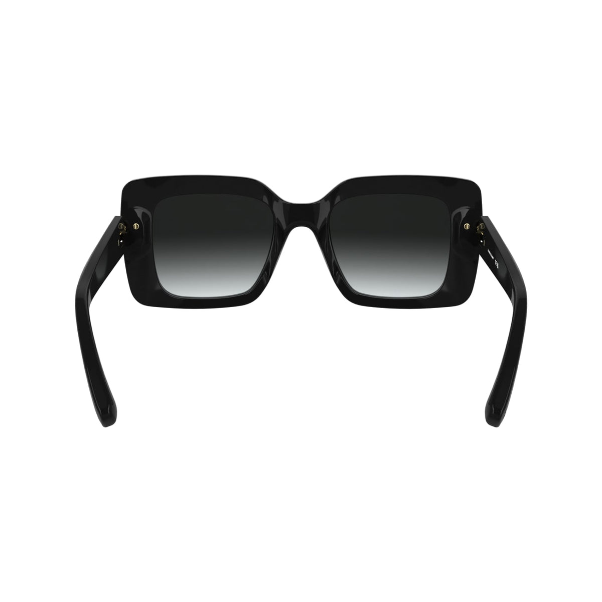 Gafas de Sol Longchamp LO776S 001 50 22