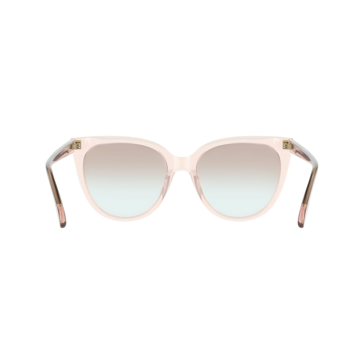 Sunglasses Ferragamo SF2101S 667 56 19