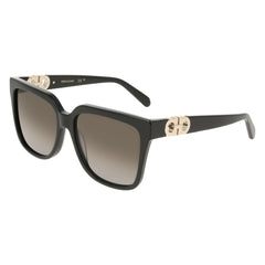 Sunglasses Ferragamo SF2109S 001 58 16