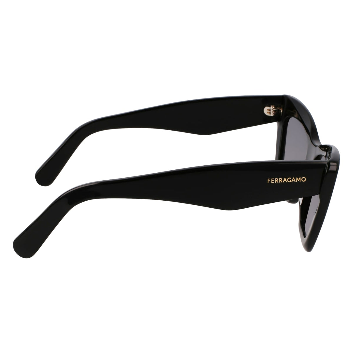 Sunglasses Ferragamo SF929SN 001 55 17
