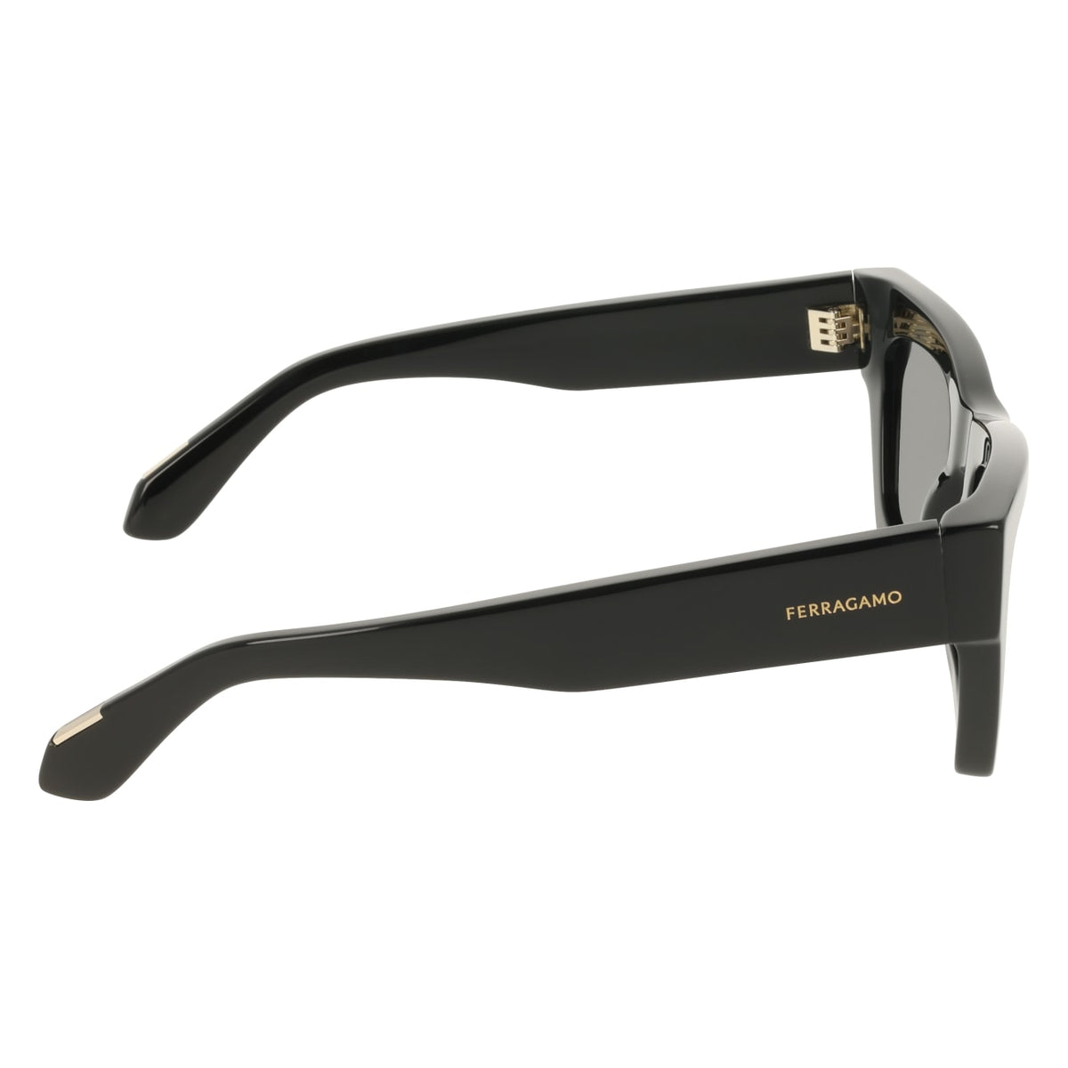 Sunglasses Ferragamo SF2105S 001 50 23