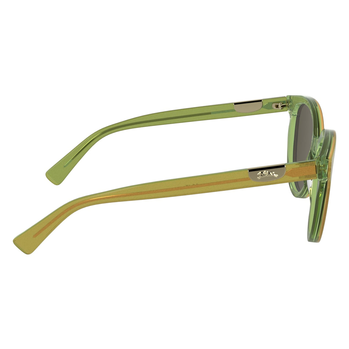 Gafas de Sol Longchamp LO773S 317 52 19