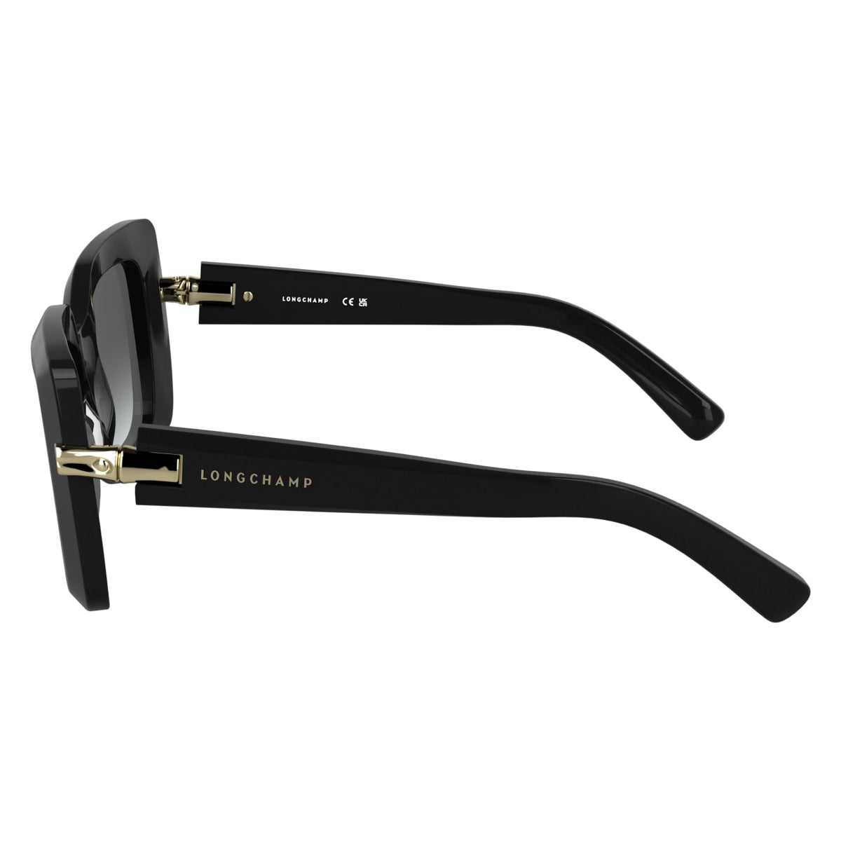 Gafas de Sol Longchamp LO776S 001 50 22