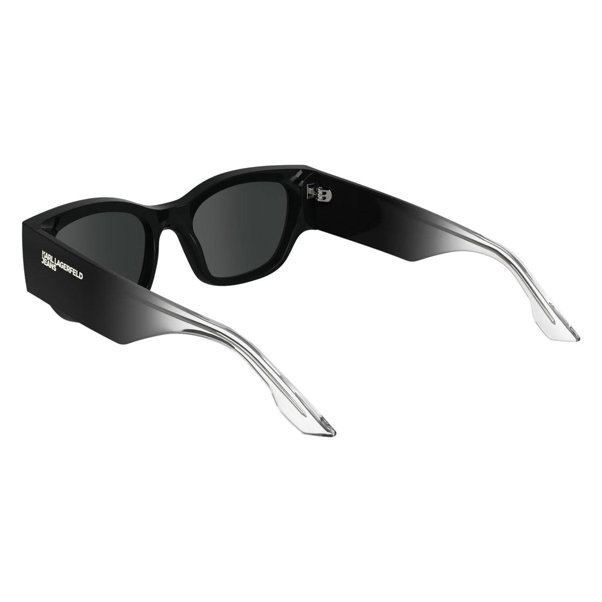 Sunglasses Karl Lagerfeld KLJ6168S 001 52 19