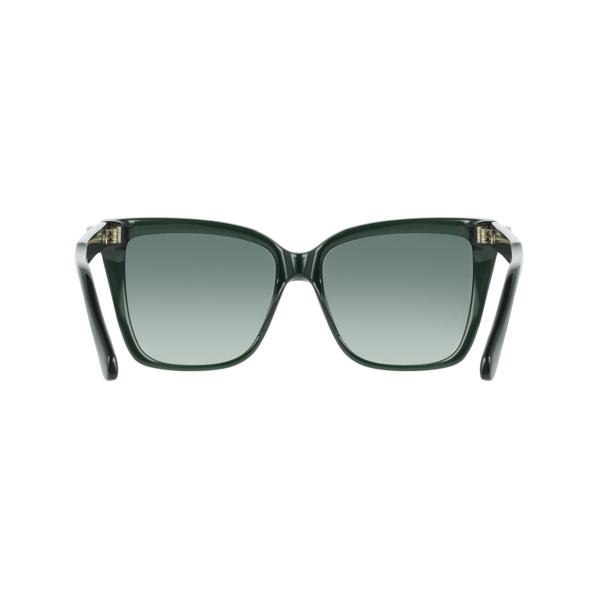 Gafas de Sol Ferragamo SF2085SE 302 57 16