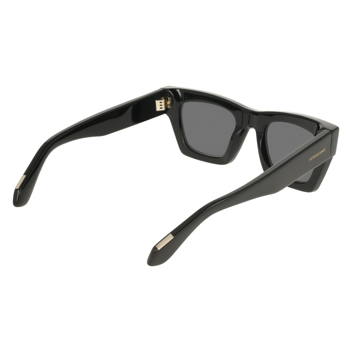 Sunglasses Ferragamo SF2105S 001 50 23