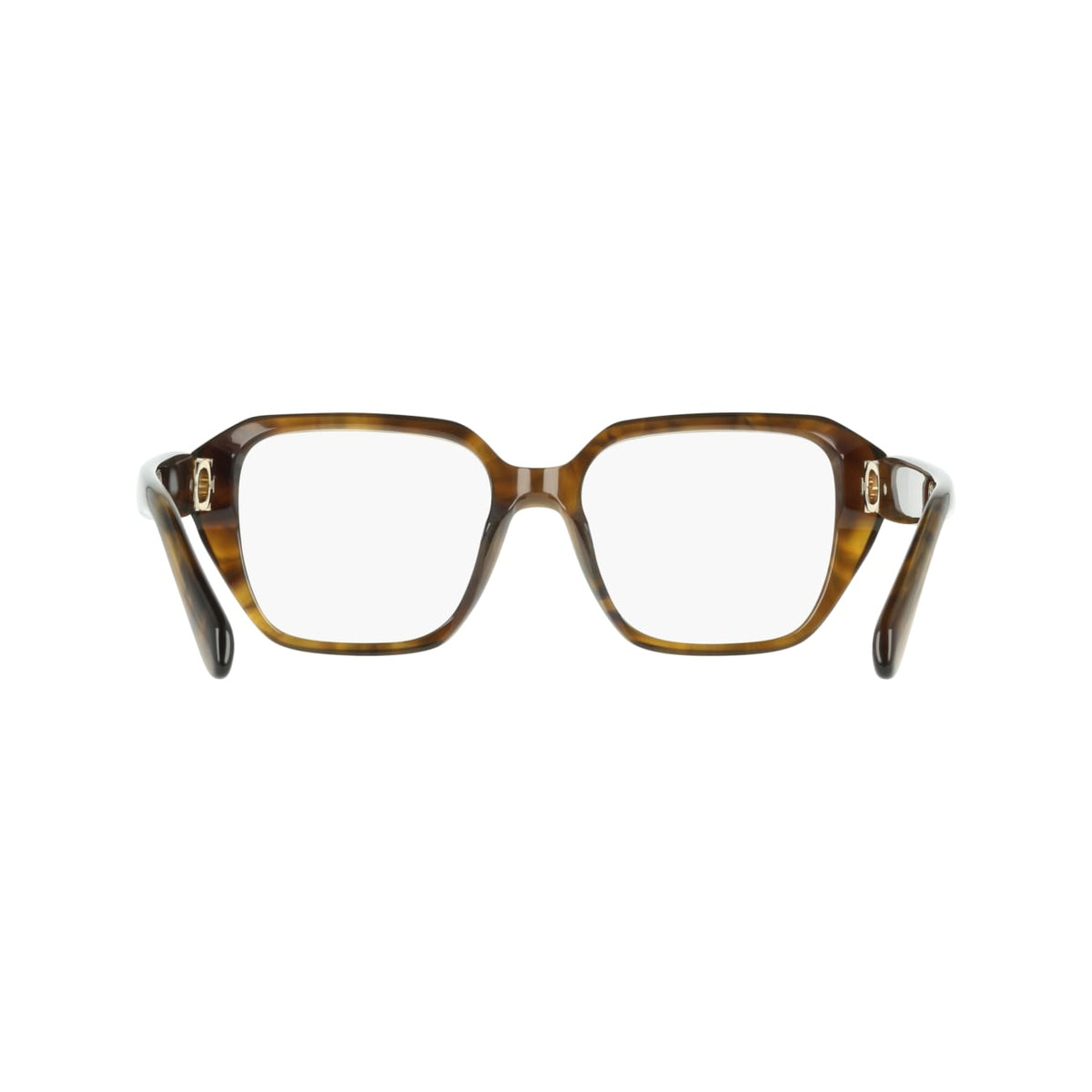 Gafas Graduadas Ferragamo SF3073 328 53 17