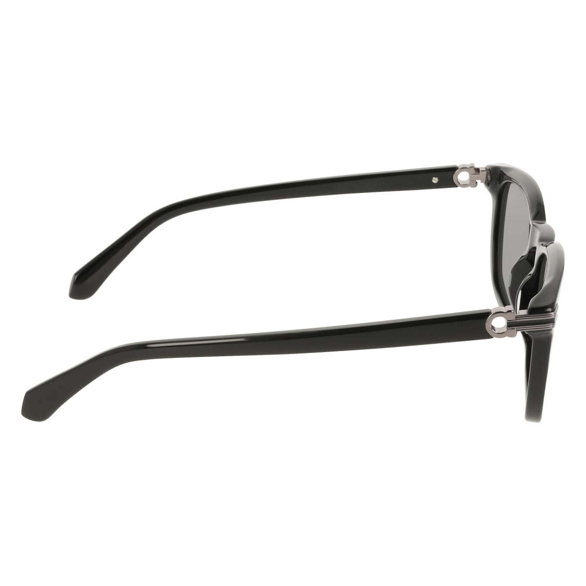 Gafas de Sol Ferragamo SF2120S 001 53 21