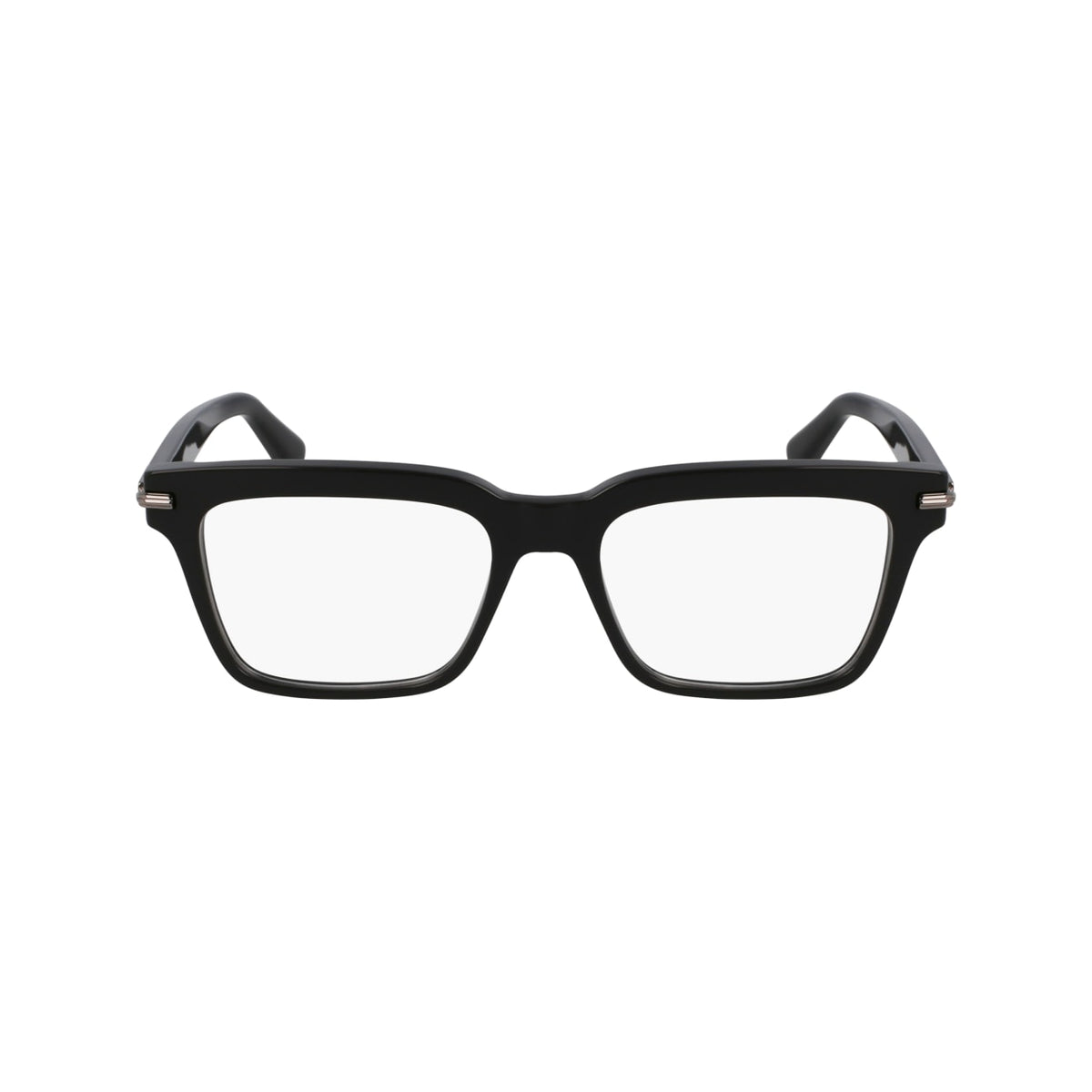 Prescription Glasses Ferragamo SF3014 019 53 / 55 18