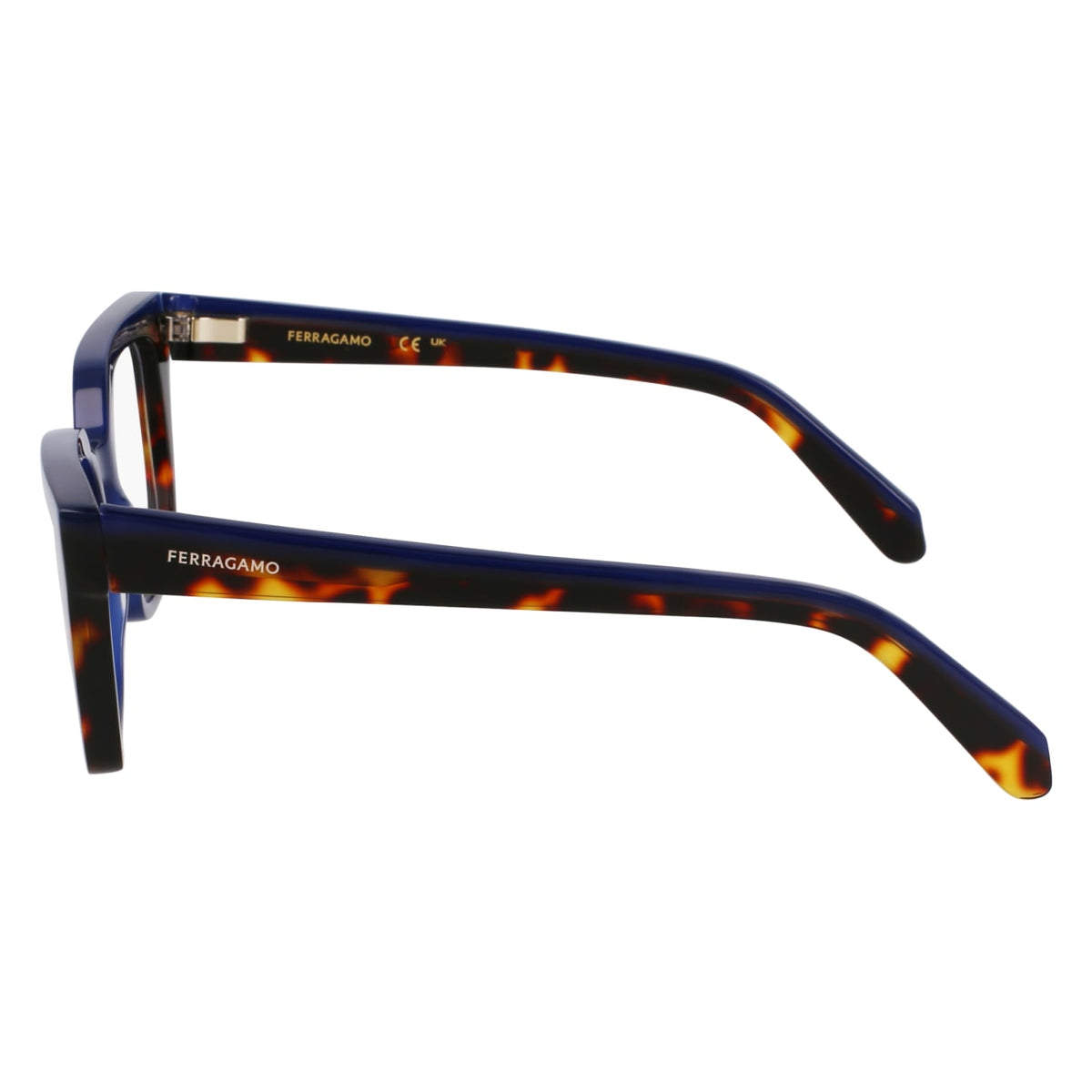 Gafas Graduadas Ferragamo SF3010 424 52 19