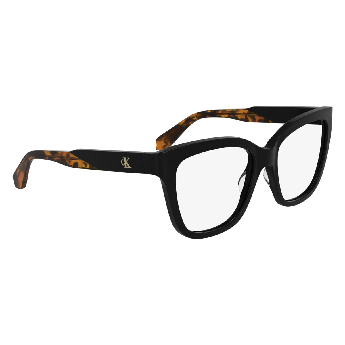 Prescription Glasses Calvin Klein Jeans CKJ25616 001 53 17