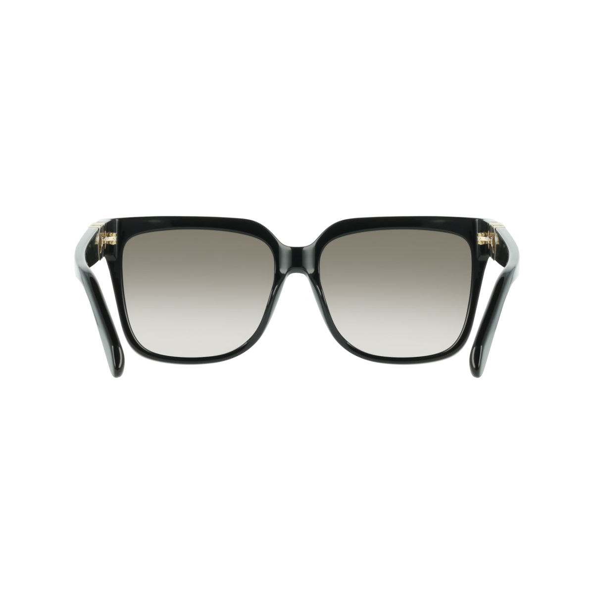 Sunglasses Ferragamo SF2109S 001 58 16