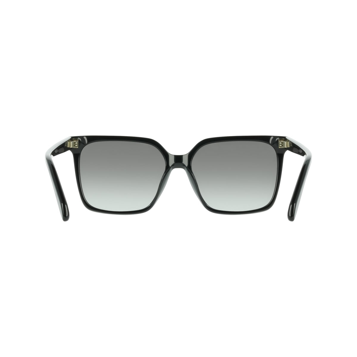 Gafas de Sol Ferragamo SF2102S 001 57 16