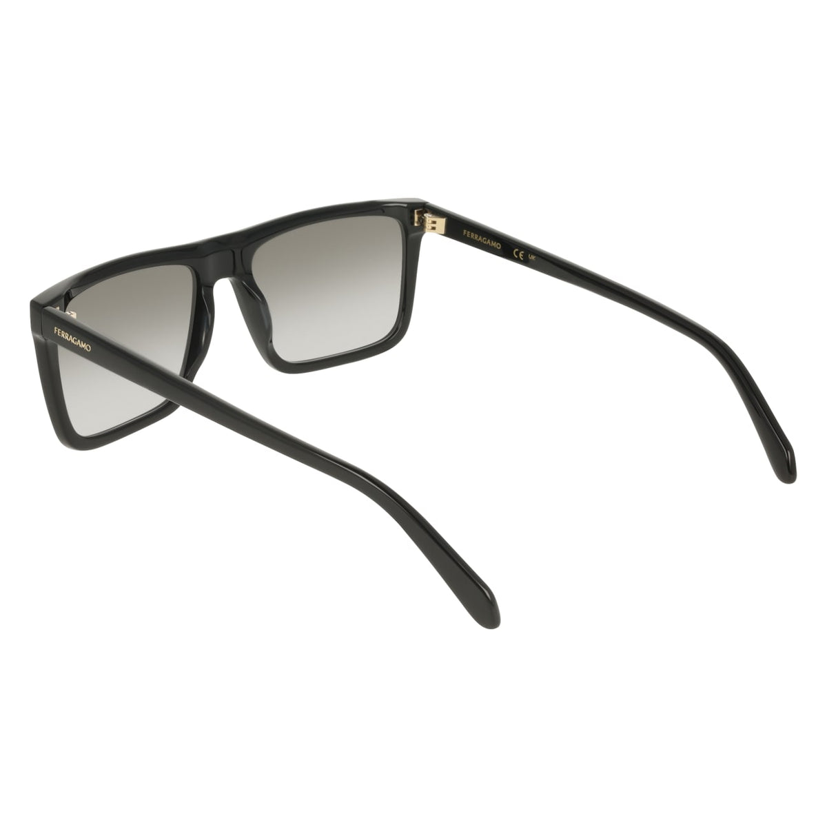 Gafas de Sol Ferragamo SF2123S 001 58 18