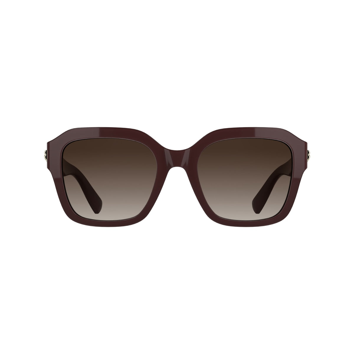 Sunglasses Longchamp LO816S 601 53 20