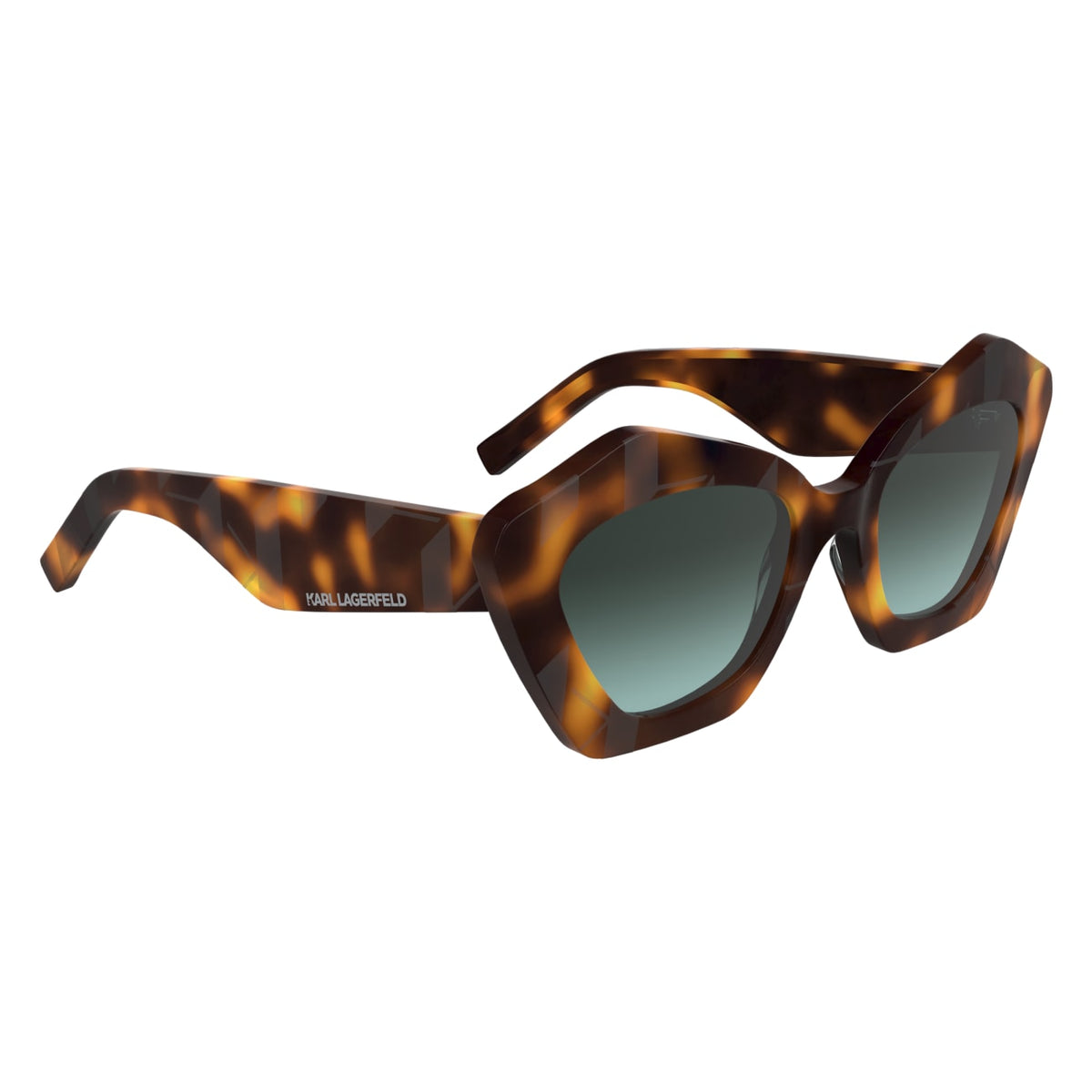 Gafas de Sol Karl Lagerfeld KL6199S 242 53 21
