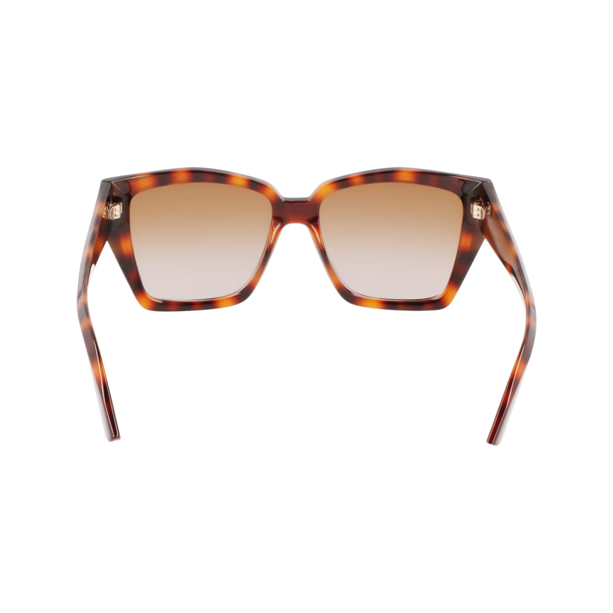 Gafas de Sol Karl Lagerfeld KL6072S 240 55 16