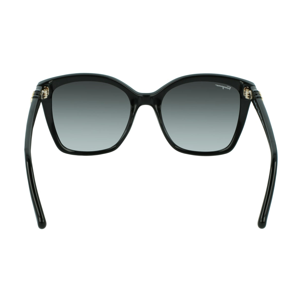 Gafas de Sol Ferragamo SF1026S 001 53.9 19