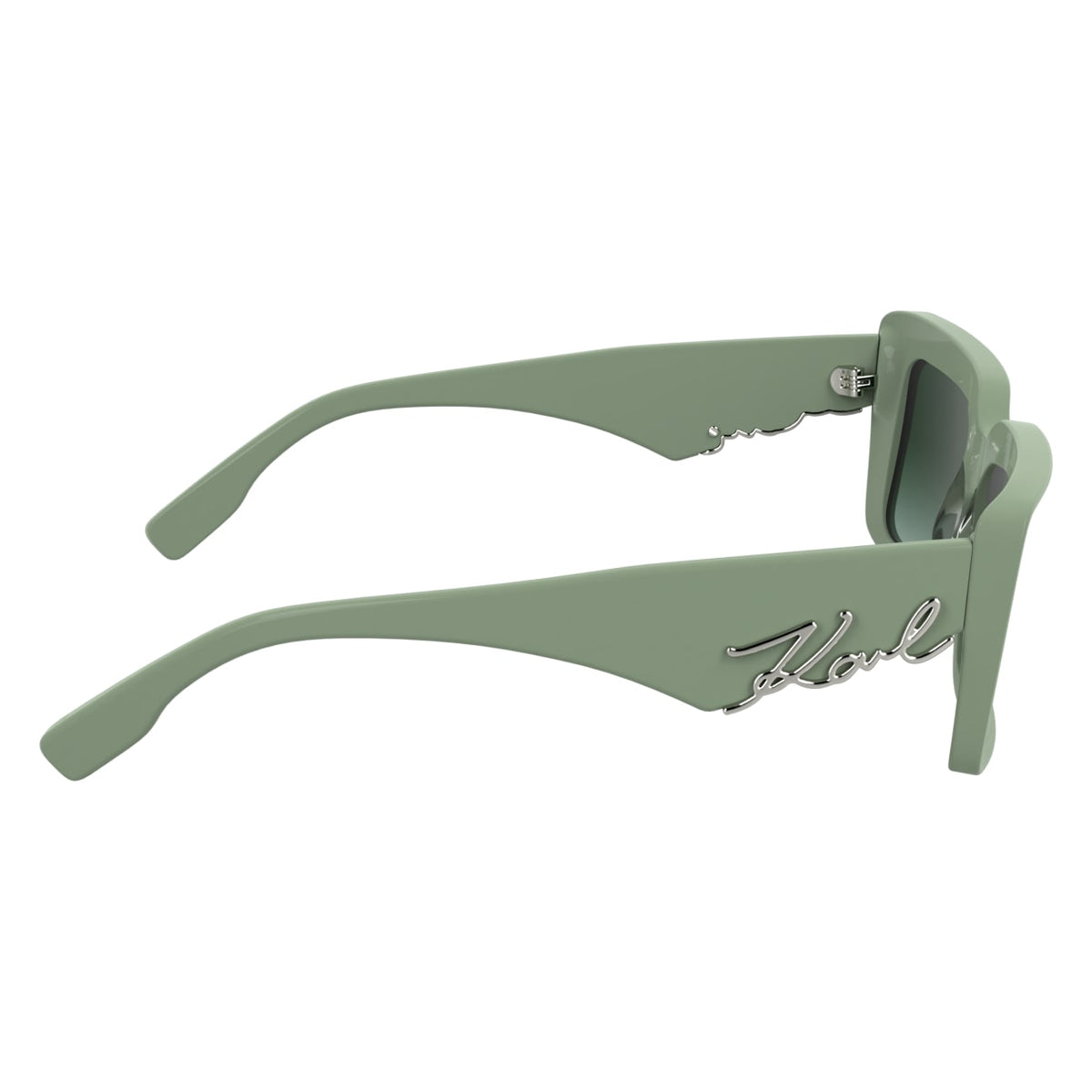 Gafas de Sol Karl Lagerfeld KL6180S 316 53 17