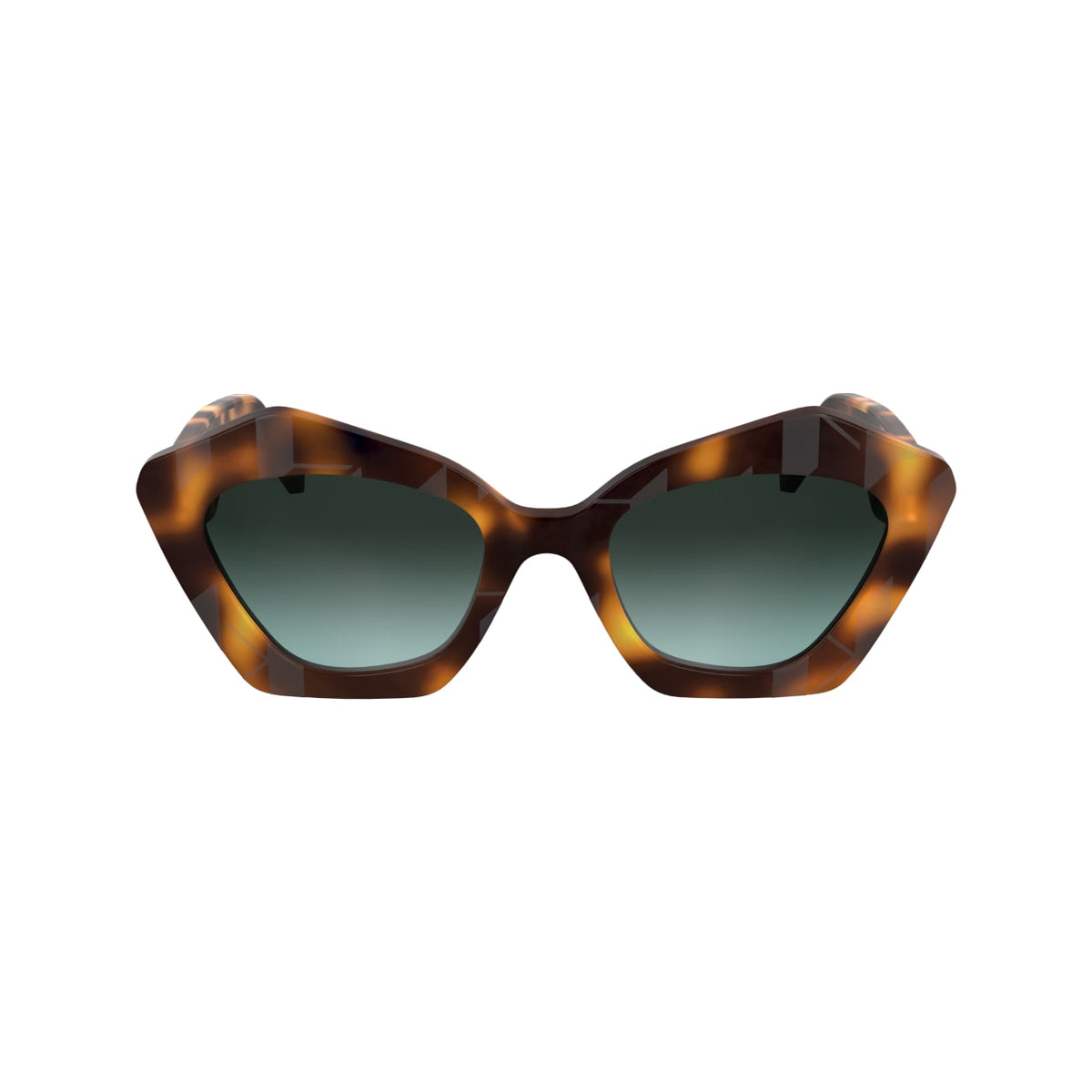 Gafas de Sol Karl Lagerfeld KL6199S 242 53 21