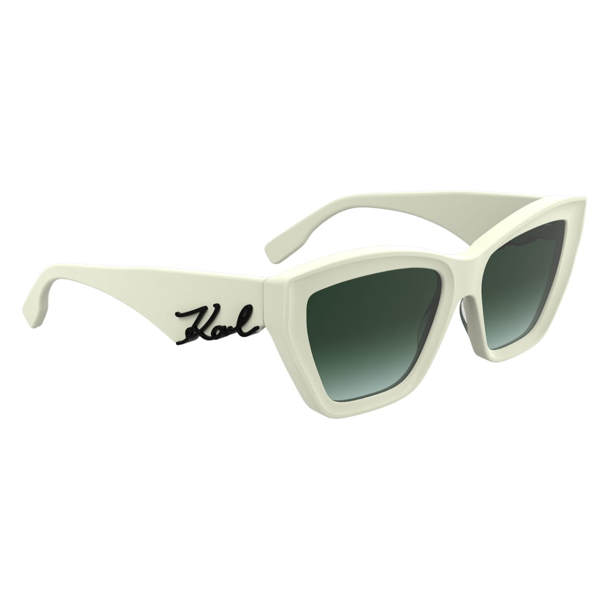 Gafas de Sol Karl Lagerfeld KL6179S 105 55 16